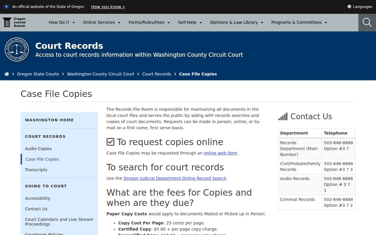 Washington County criminal court case file copy information