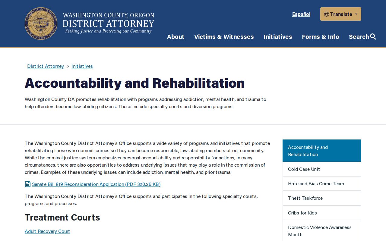Washington County criminal case diversion and treatment programs